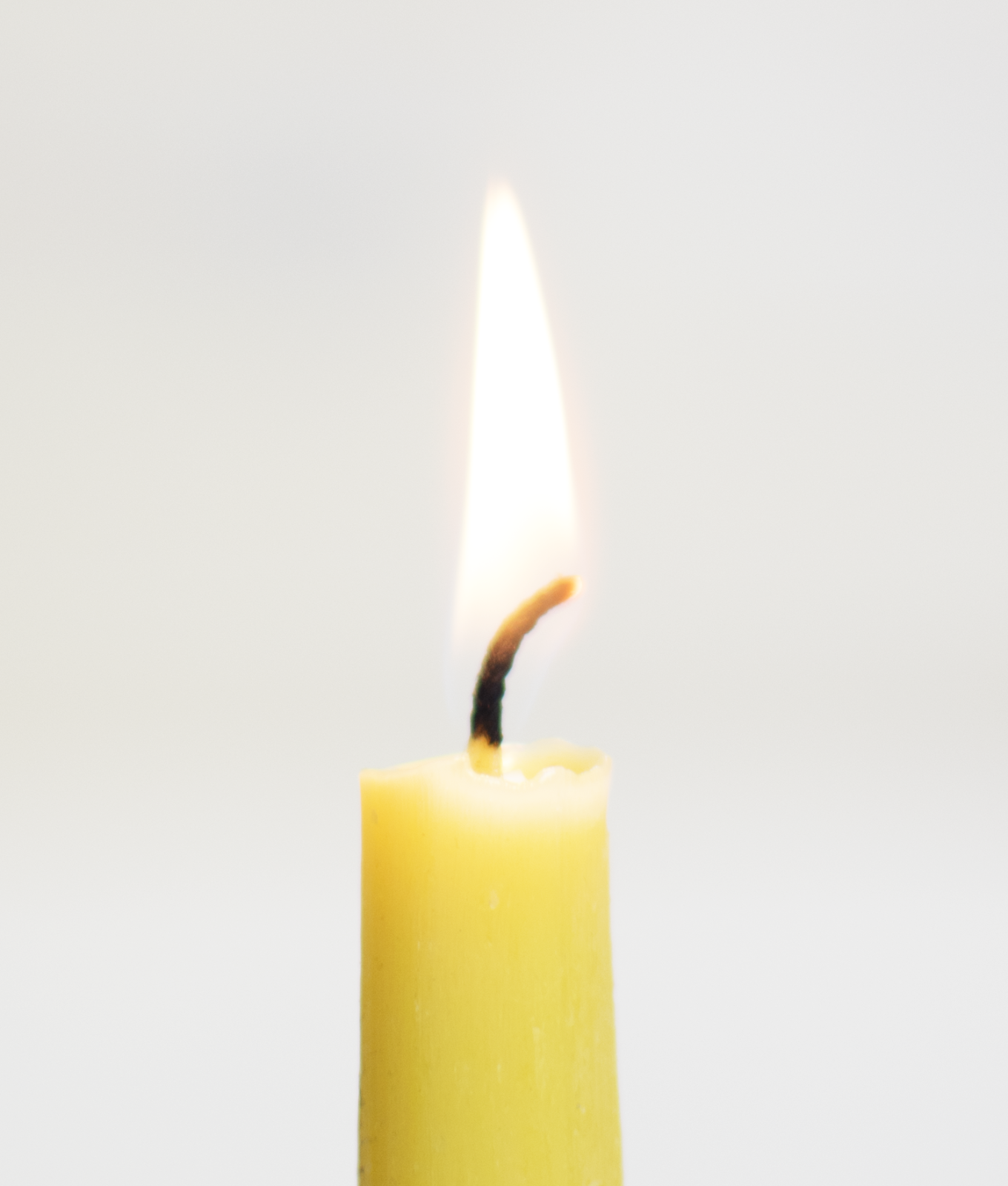 Velas candelas largas de cera de abeja SANNICOLÀS